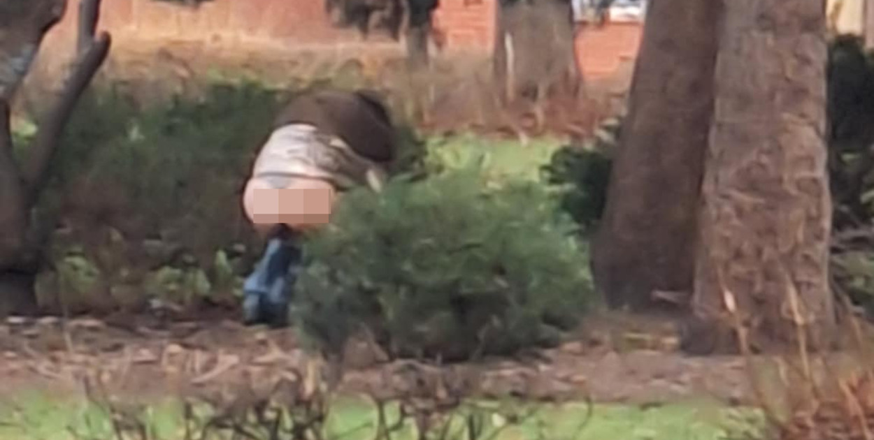 Cuda się dzieją na pl. Tysiąclecia w Głogowie