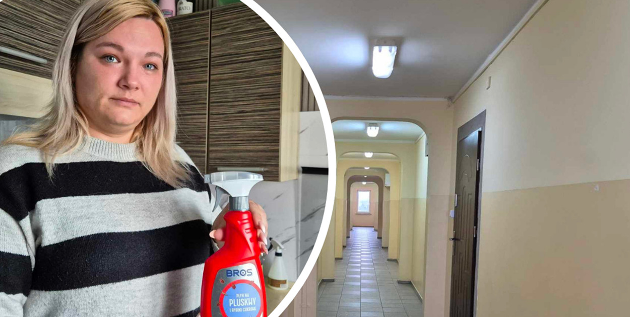 Pluskwy w wieżowcu w Głogowie. Mieszkańcy proszą, błagają o pomoc