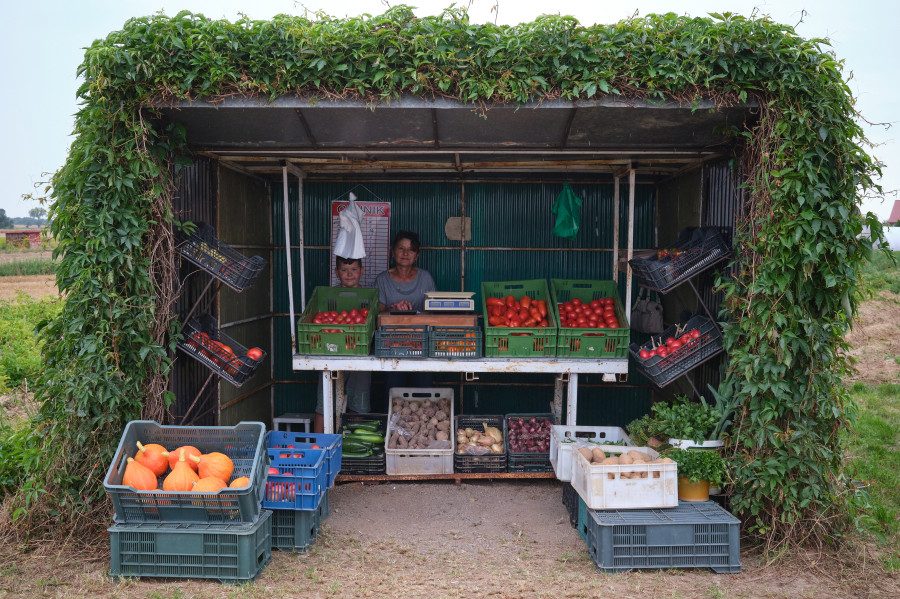 fot. Janusz Nadolski