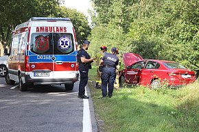 Wypadek na DW 319. Dojechać można do krzyżówki-4648