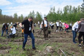 Wolontariusze sadzili las pod Hutą Miedzi Głogów-5406