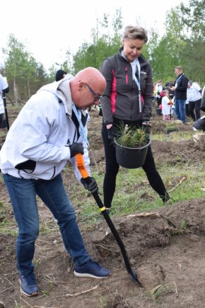 Wolontariusze sadzili las pod Hutą Miedzi Głogów-5406