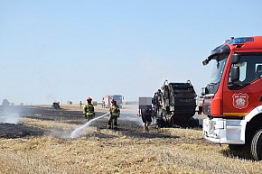 Pożar na polu w Słonem pod Głogowem-7785