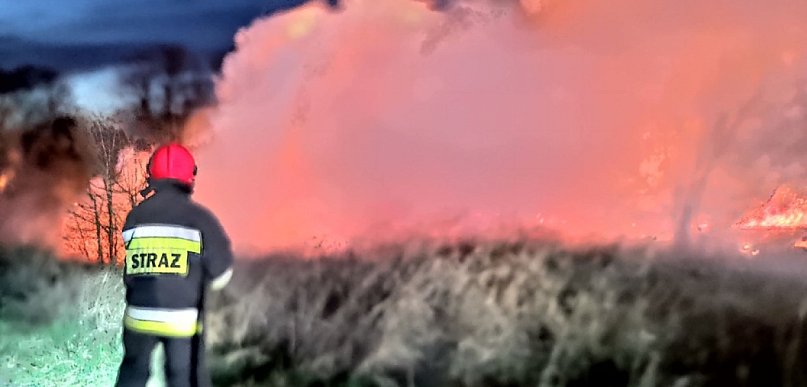 Znów płoną trawy nad Odrą. Sprawcy uciekli