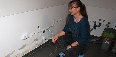 Jak żyć, panie prezydencie? Wyprowadziłam się z wilgoci w wilgoć-146984