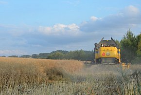 Prawie 1,5 tys. ton wapna trafi na pola w gminie Głogów-149882