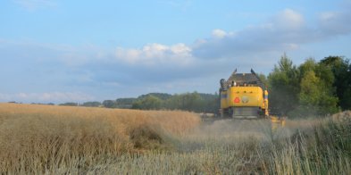 Prawie 1,5 tys. ton wapna trafi na pola w gminie Głogów-149882