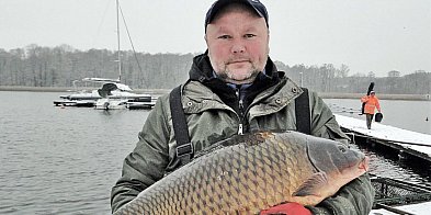 W Sławie rozpoczyna się sprzedaż karpi z jeziora-151721