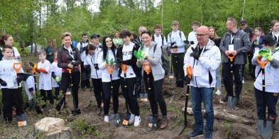 Na Dzień Ziemi wolontariusze posadzili pięć tysięcy sosen pod hutą Głogów-156312
