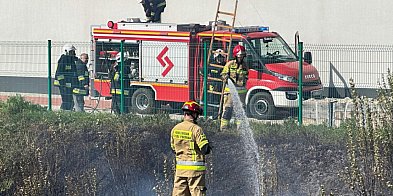 Pożar koło torów przy ulicy Rudnowskiej w Głogowie-156432