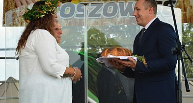 Dożynki Wojewódzkie w tym roku w Małowicach-159954