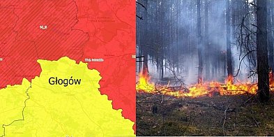 Lasy będą czerwone. Sytuacja pod Głogowem nie jest wesoła-160325