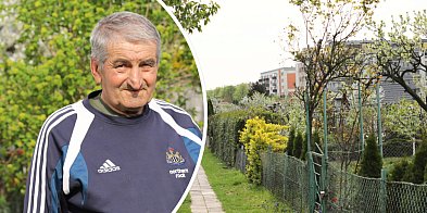 Rodzinne ogrody kontra deweloperzy: Nie oddamy grządki!-168914