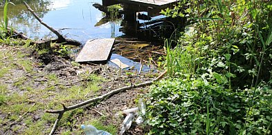 Kto zostawia ten bałagan? Pijaństwo i wandalizm-169323