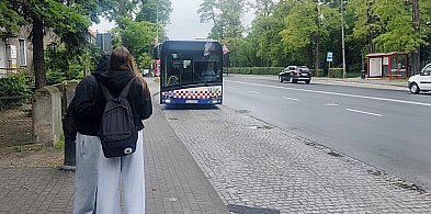 Na Dni Głogowa bez biletu -169767
