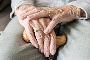 Nowa stawka najniższej emerytury. Rząd ujawnił kwotę-170299