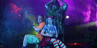 Pełna sala, owacje na stojąco. Głogowska premiera dla dzieci z sukcesem-170348