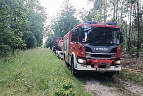 Płonął las pod Głogowem. Jest susza i ogromne zagrożenie-170629