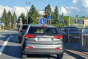 Egzamin na prawo jazdy będzie inny. Od 1 lipca nowe zasady-170664
