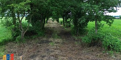 Nowa jakość drogi w kierunku Proszówka – trwa gruntowny-170679