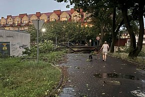 Wichura w Głogowie, strażacy w akcji! "Drzewa łamały się jak zapałki"-170800