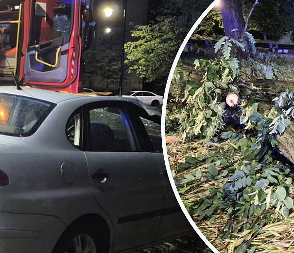 Głogów: Ogromy konar spadł i zniszczył auto. "Dach zgnieciony"-170807