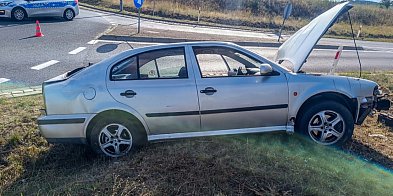 Policjanci zatrzymali sprawcę-170920