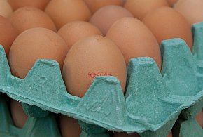 Salmonella na jajach znanej marki. Nie jedz, jeśli masz je w lodówce!-170938
