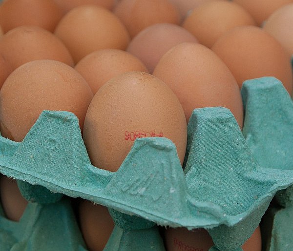 Salmonella na jajach znanej marki. Nie jedz, jeśli masz je w lodówce!-170938