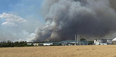 Gęsta chmura dymu z pożarów w Niemczech dotarła nad Głogów-171037