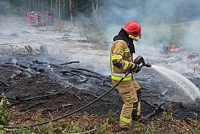 Pożar za pożarem pod Głogowem. Słońce swoje, człowiek też pomaga-171108