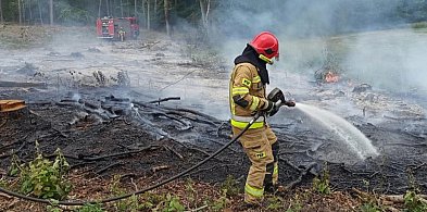 Pożar za pożarem pod Głogowem. Słońce swoje, człowiek też pomaga-171108