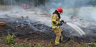 Pożar za pożarem pod Głogowem. Słońce swoje, człowiek też pomaga-171108