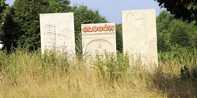 Zarośnięty witacz przy Sikorskiego w Głogowie. Mieszkańcy interweniują -171485