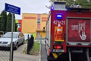 Strażacy w akcji. Rój os w przedszkolu w Głogowie-172271