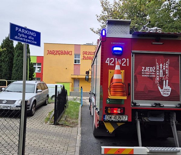 Strażacy w akcji. Rój os w przedszkolu w Głogowie-172271