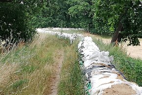 Wały i melioracje pod lupą-172344