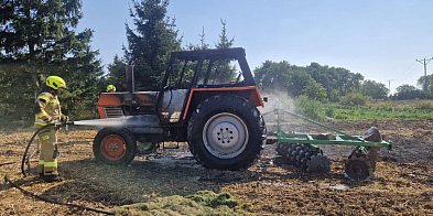Wystarczy iskra. Znów pożar w polu pod Głogowem -172679