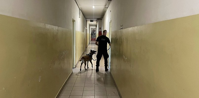 Trwają poszukiwania więźnia, który nie wrócił do Zakładu Karnego w Głogowie! - 172862