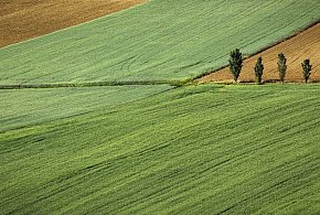 Ogłoszenie  o rozpoczęciu konsultacji społecznych -173128