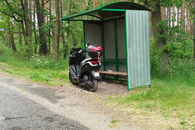 zdjecie ogloszenia