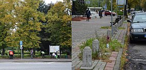 Na sprzątanie i koszenie Głogów wydaje krocie 