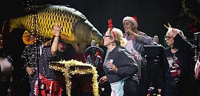 [WIDEO] Już jest! Przebojowy karp po głogowsku