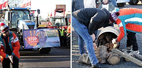 Rolnicy wściekli na rząd i UE! [WIDEO]