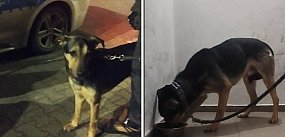 Co się stało w Głogowie pod sklepem?