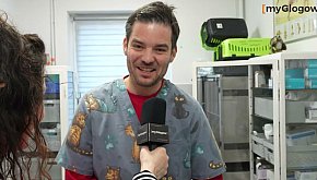 Fajerwerki = trauma dla zwierząt? Lekarz weteranii