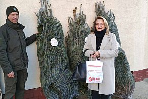 Choinki dla krwiodawców-8678