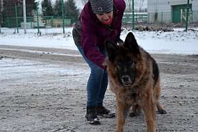 Sylwester w azylu Amicusa w Głogowie-8732