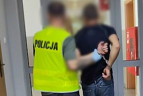 Ukradł samochód i porzucił w polu. Złodziej ukrył się w wersalce-173654