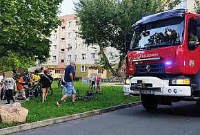 To miała być tylko zabawa. Strażacy ratowali dziewczynkę z drzewa-173679